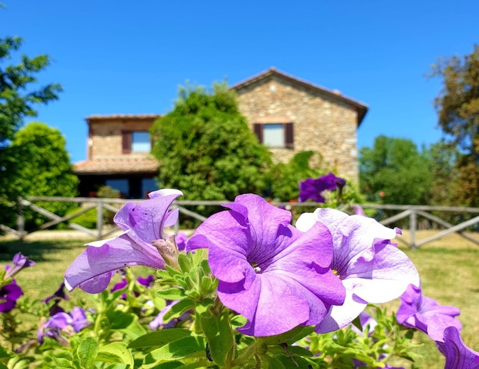 Agriturismo Viamaggio