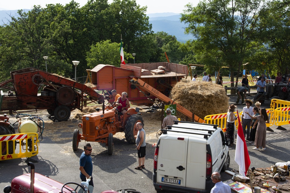 DSC 3886trebbiatura 2023