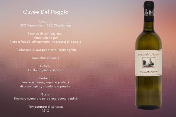 cuvee-del-poggio803A4876-EB82-DD9E-F0BE-24A8FDD9B4E8.jpg