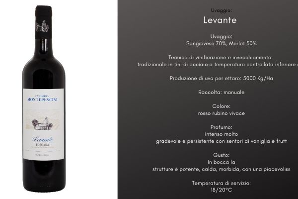 levanteF4B71198-CBCE-E828-E766-C2DCF088963B.jpg