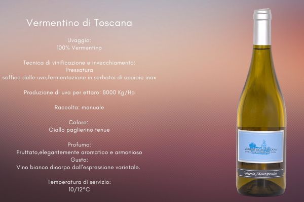 vermentino-di-toscana3D636EF4-B602-EB4C-9DDB-F804C60F6130.jpg