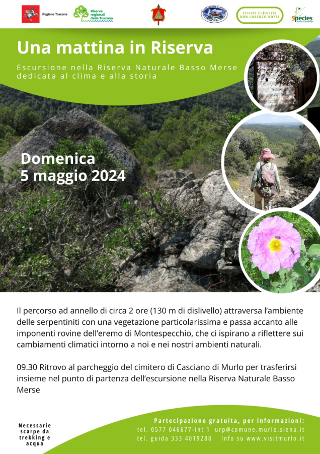 whatsapp-image-2024-04-28-at-09-44-49